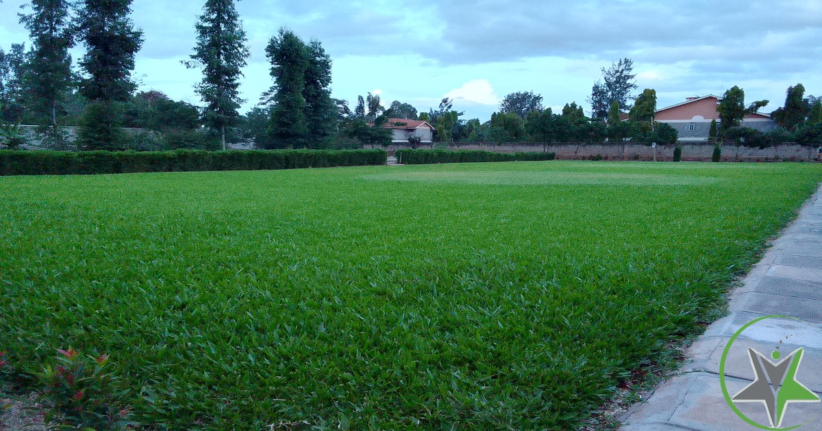 Mbuga FARM and Gardens. in Nairobi